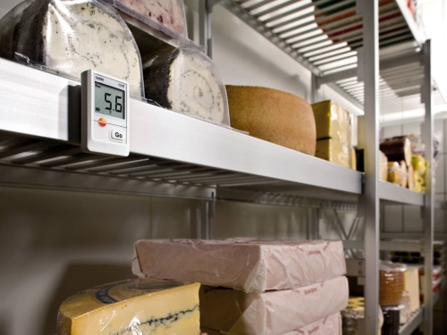 testo 176 T2 2-х канальный логгер данных температуры фотография  фото 3