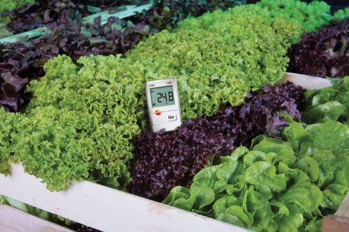 testo 176 T2 2-х канальный логгер данных температуры фотография  фото 4