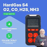 HardGas S4 (O2, CO, H2S, NH3) Газоанализатор портативный многоканальный